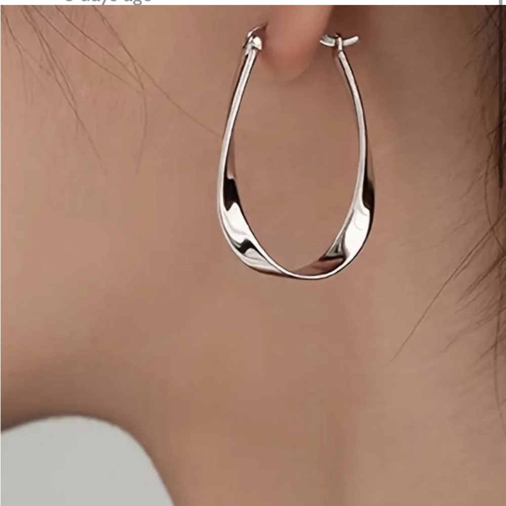 Elegant Silver Hoop Earrings